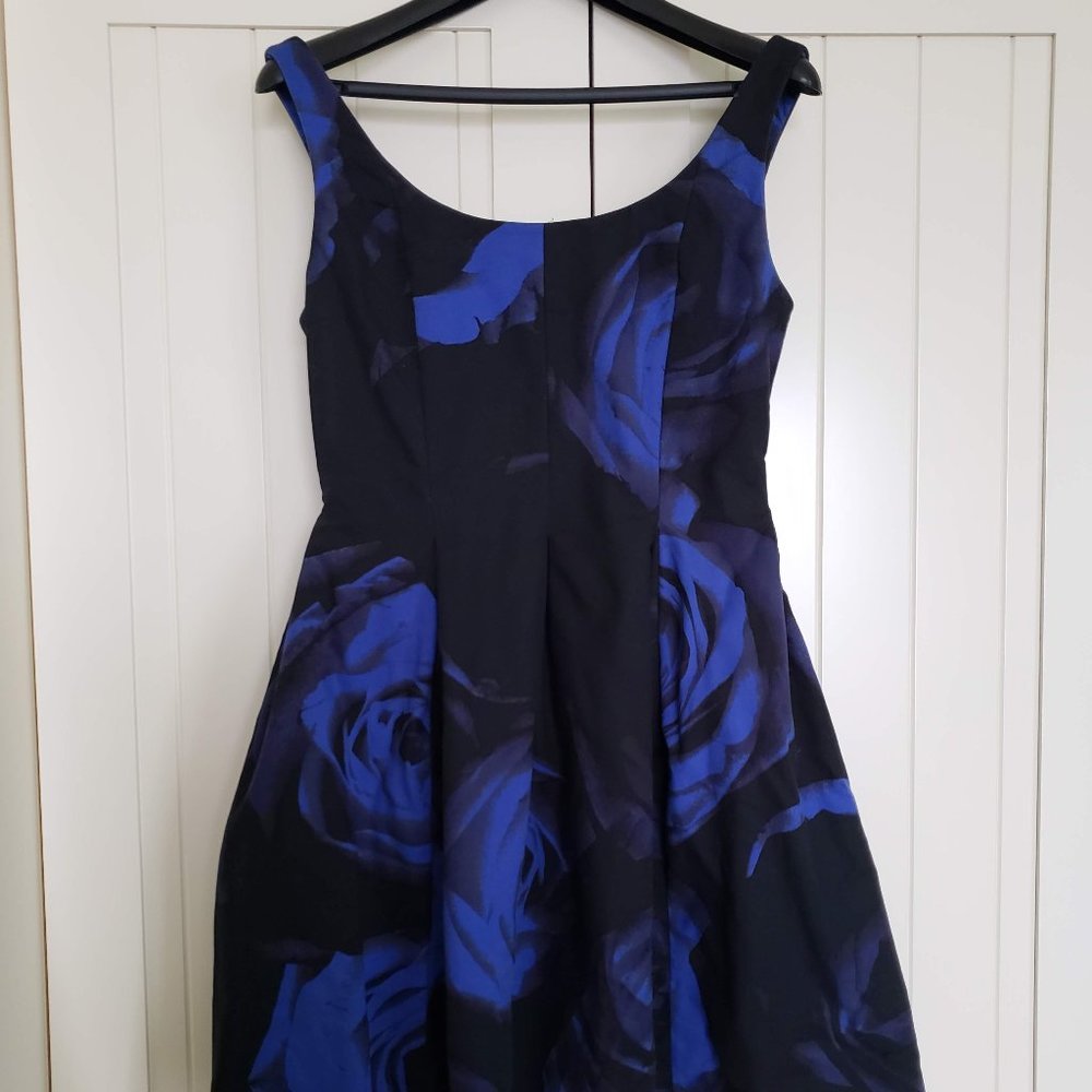 Sleeveless Flare Dress Black with Blue Flowers